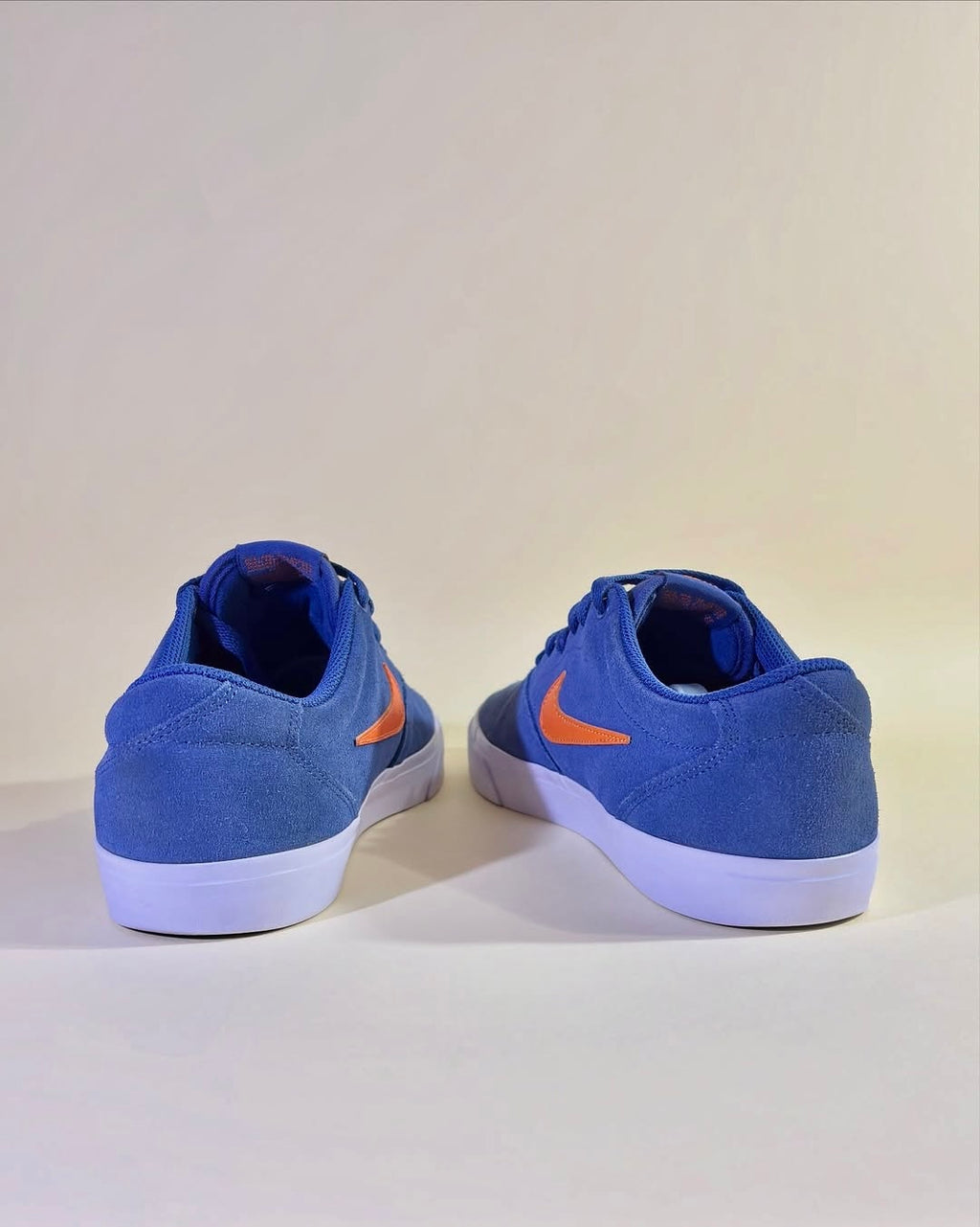 Nike SB (44)