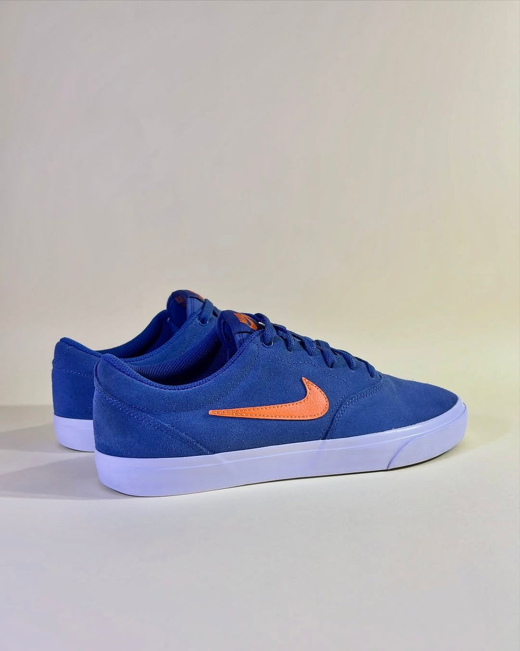 Nike SB (44)