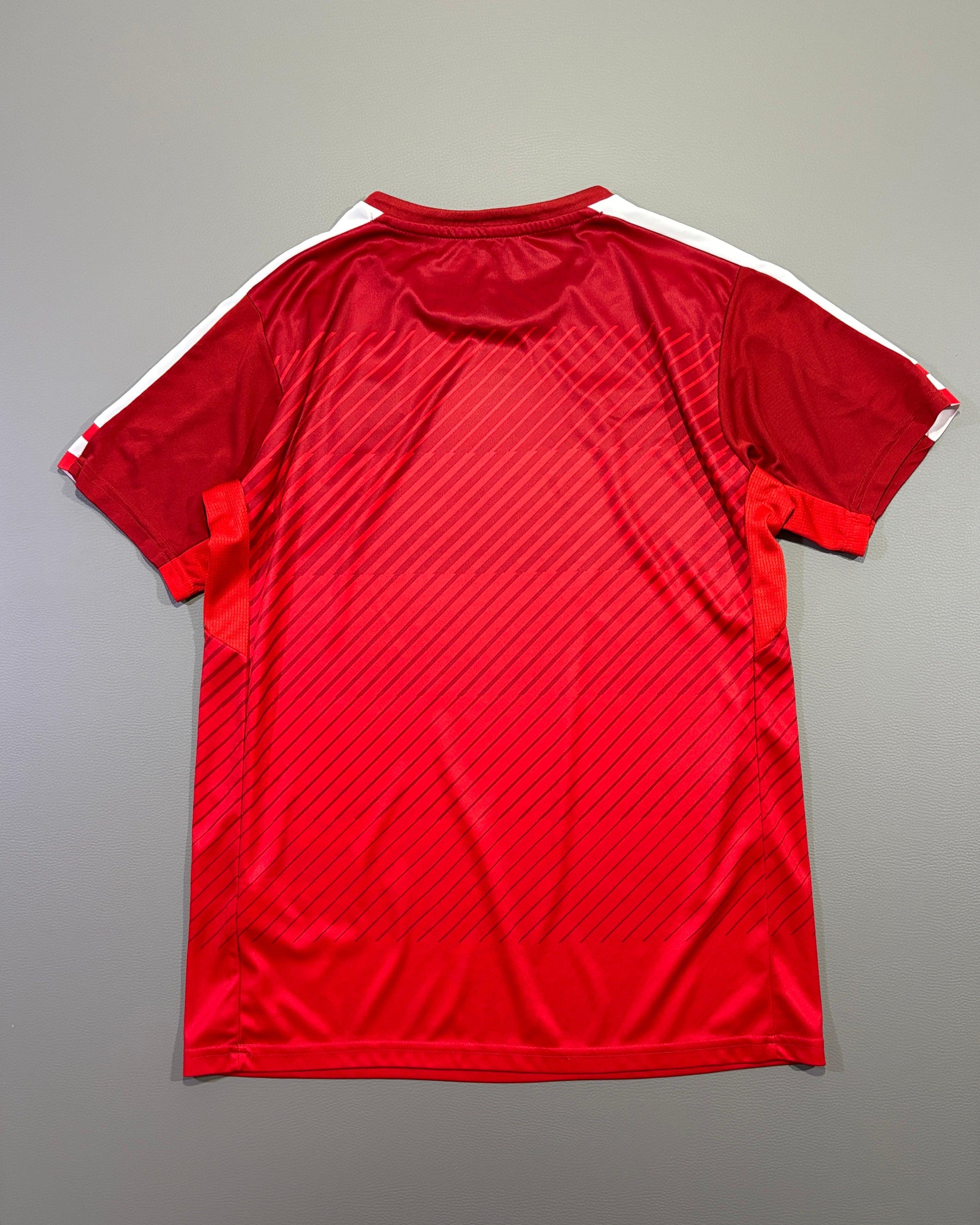 Puma Austria reprezentativna fudbalska majica DryCell - M