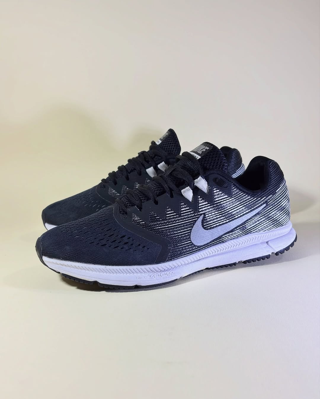 Nike Air Zoom (45)