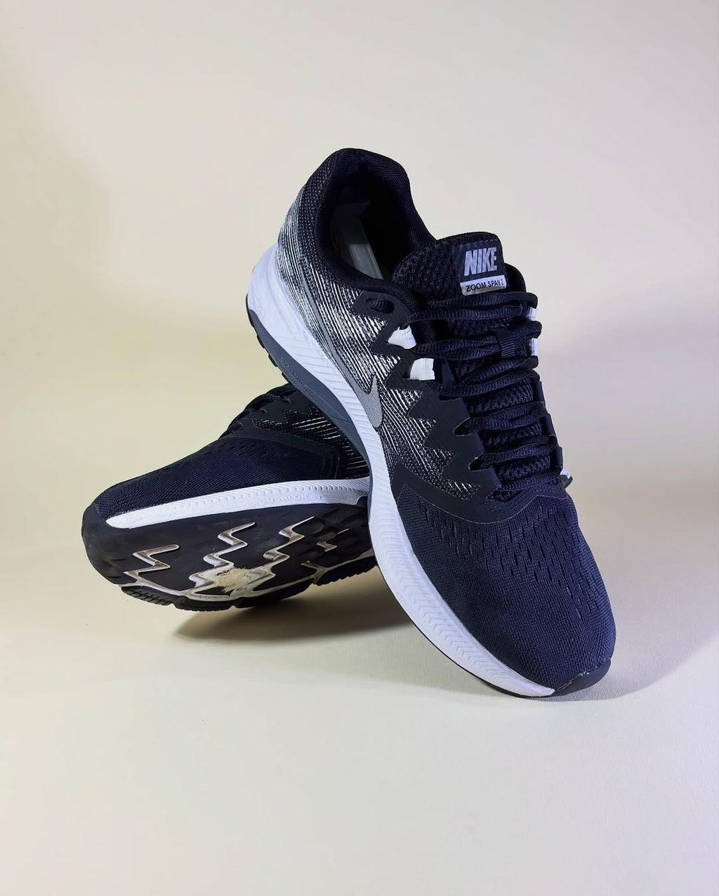 Nike Air Zoom (45)